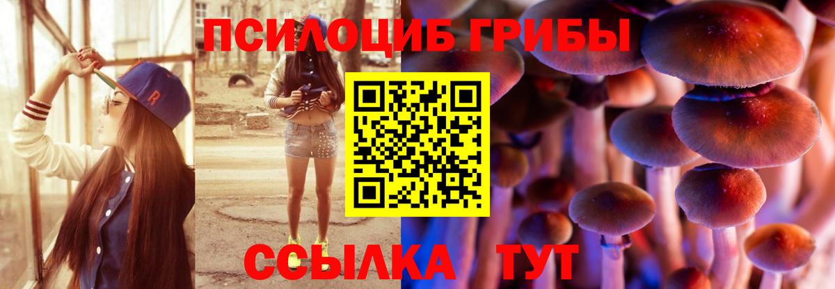 Качканар  Галлюциногенные грибы мицелий  Псилоцибиновые грибы MAGIC MUSHROOMS  Вход с VPN 