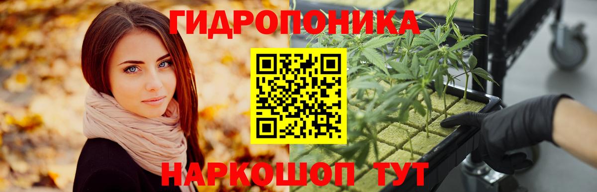 Марихуана планчик  МАРИХУАНА индика  Вход с VPN  Качканар 
